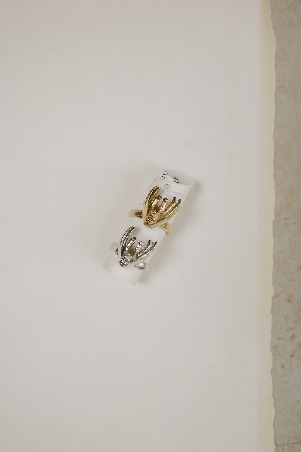 CONEXIÓN anillo