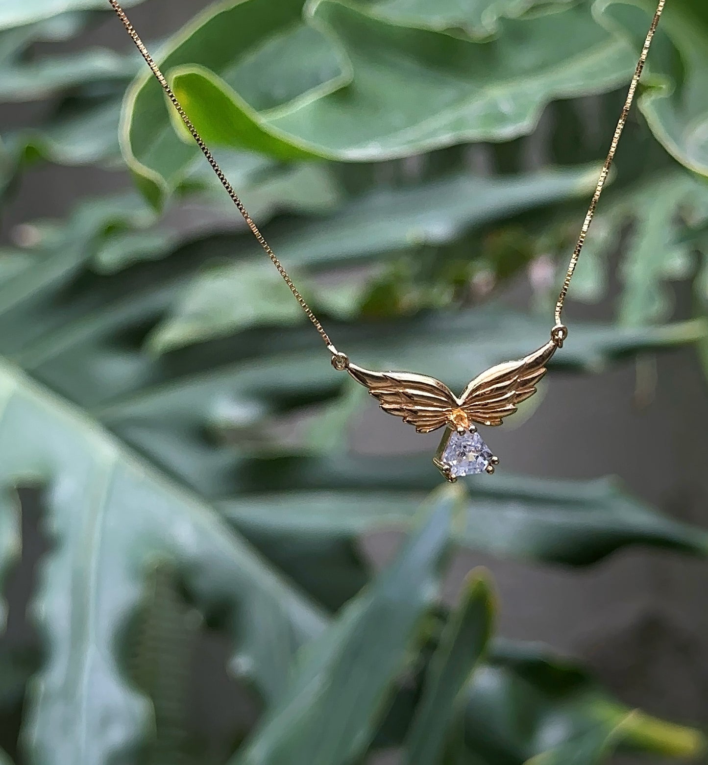 ANGEL WINGS Nº2