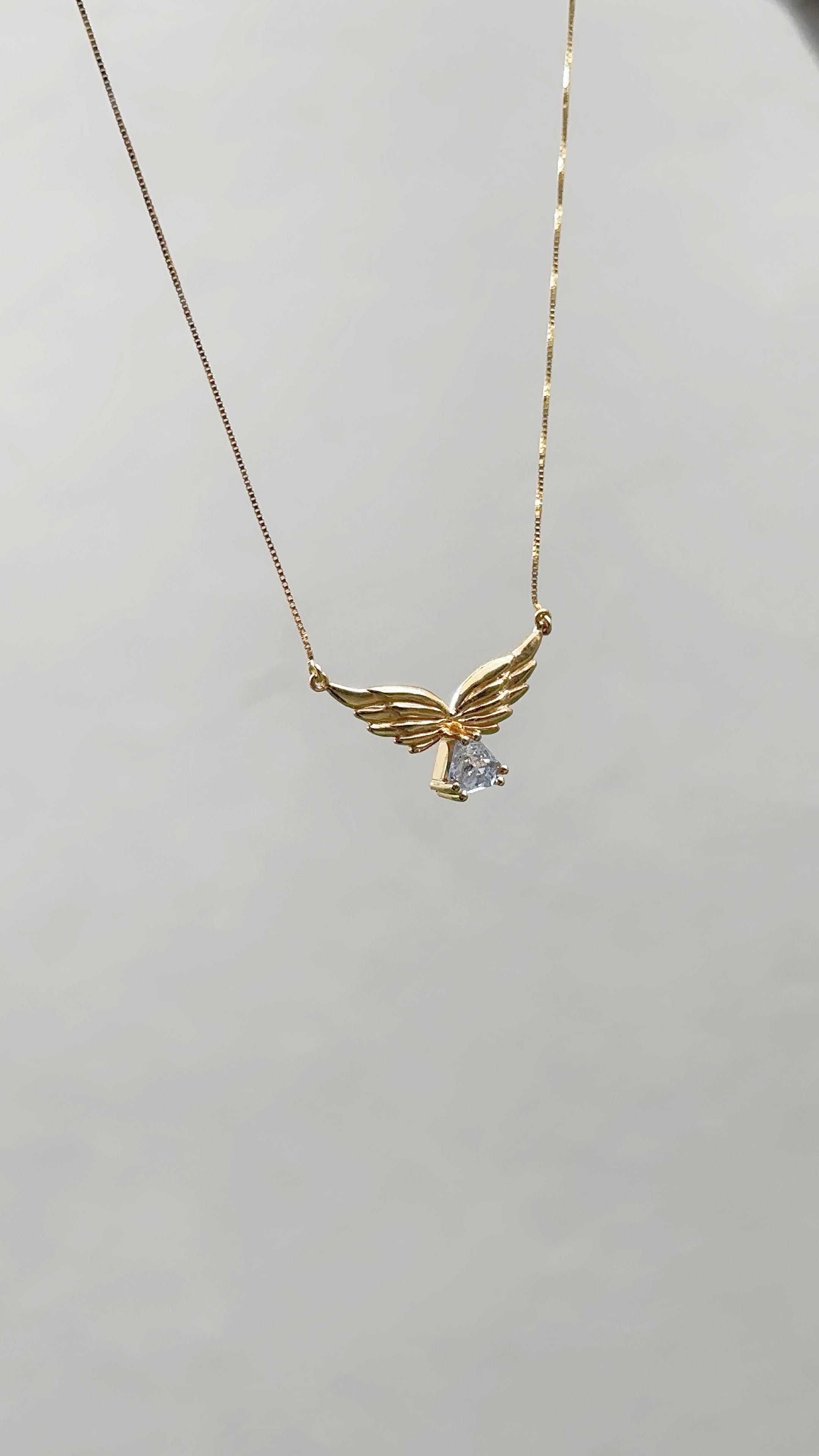ANGEL WINGS Nº2